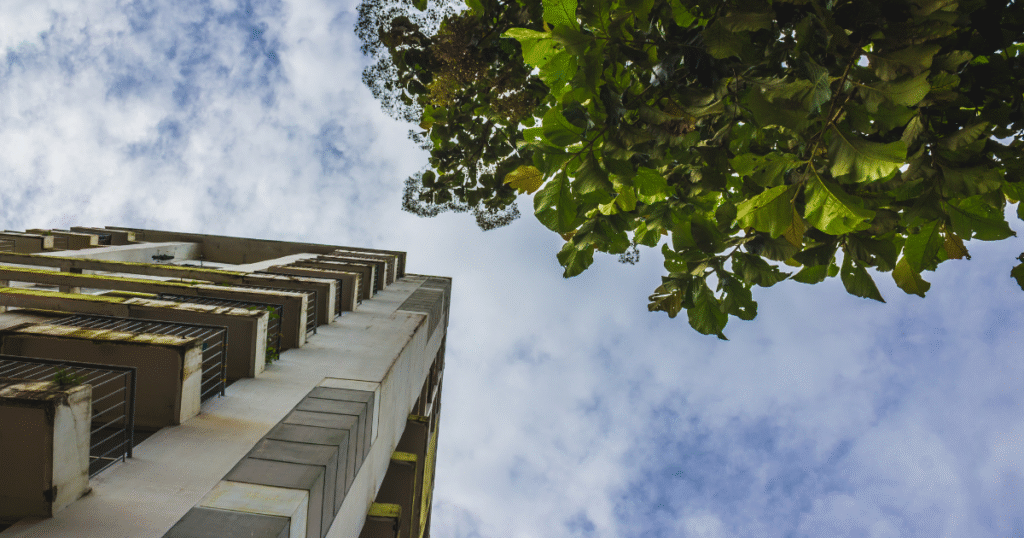 Sustainability in Real Estate: How Mi Vida Builds for the Future